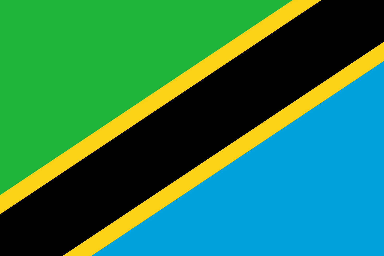 Tanzania Flag